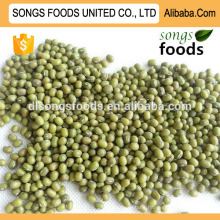 Green Mung Beans for Sprouting